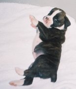 Bébé dort ! 