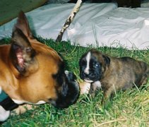Tanit et un bébé