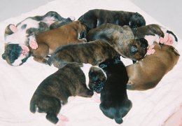 Bébés nés en Mai 2003