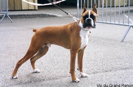 Vic du Grand Renon